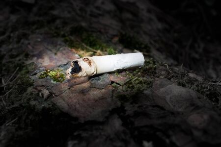 An old cigarette but with black contents insideの写真素材