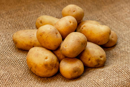 Tubers of young potatoes of a new crop lying on a table covered with burlap.の写真素材
