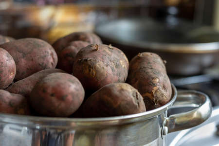 Raw dirty unpeeled potato tubers in a saucepan in the kitchen.の写真素材