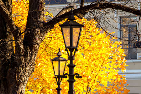 Gas lamps against a background of yellow autumn leaves in the Alexander Garden in St. Petersburg.