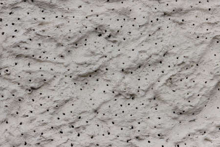 Rough uneven surface of the plastered wall.