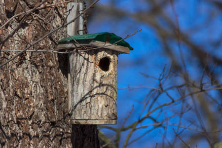 A birdhouse on a tree in spring in a park on Elagin Island in St. Petersburg.