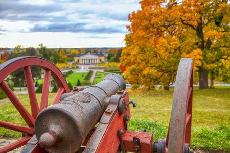 Autumn Leaves in Uppsala, Swedenの写真素材
