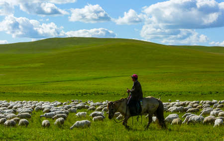 shepherd and a flock of sheepのeditorial素材