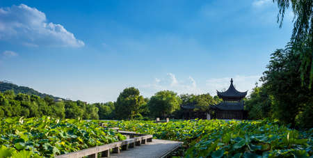 Lotus Pond landscape viewの写真素材