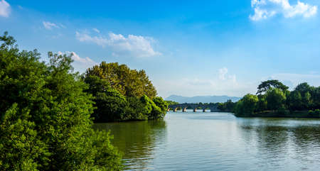 Landscape scenery view of trees growing in the lake under the blue skyの写真素材