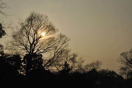 Shot in the Humble Administrator s Gardenの写真素材
