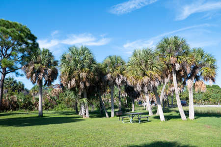 Landscape of Honeymoon Island State Park in Floridaの写真素材
