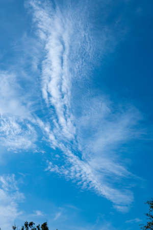 Beautiful cloud in the summer of Florida