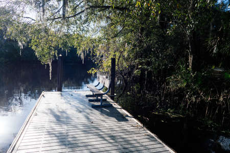The landscape of Tampa Palms and Hillsborough river in Floridaの写真素材