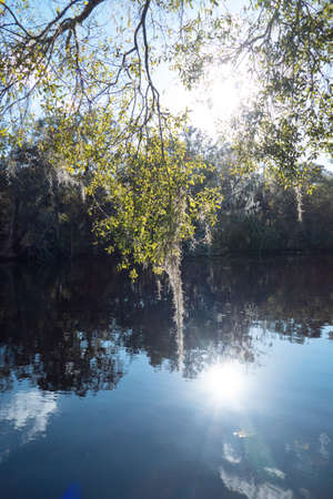 The landscape of Tampa Palms and Hillsborough river in Floridaの写真素材