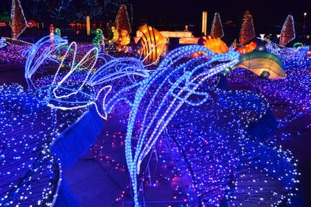 Lantern Exhibitionの写真素材