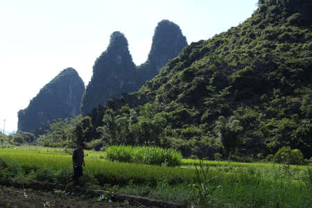 guilin Garden sceneryのeditorial素材