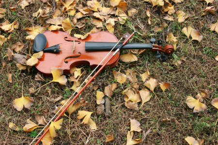 Violin on grass and autumn fallen leaves.の写真素材