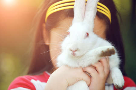 children and play with the rabbit photosの写真素材