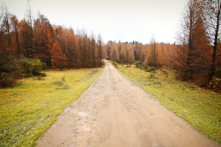 roads and forests, was taken in the fall, place mountainous western chinaの写真素材
