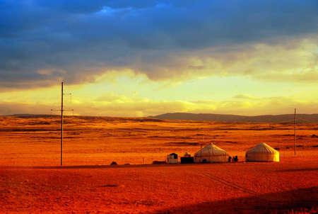Grassland landscape.の写真素材