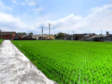 Farm roadsの写真素材
