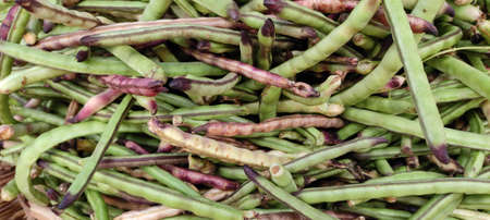 Vegetables fresh food
