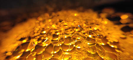 Macro photography natural green plant and flowers beutiful landscape background imageの写真素材