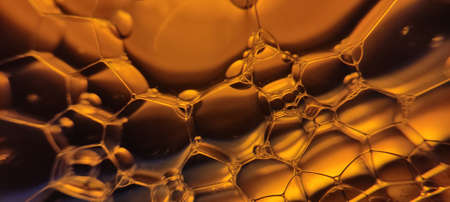 Macro photography natural green plant and flowers beutiful landscape background imageの写真素材