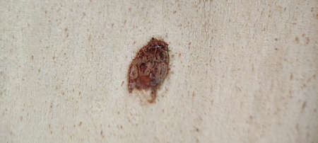 Dirty stain on wooden surface. Close-up of dirty stain on wooden surface. Rustic background.