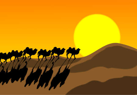 desert camel, ex- line under the background of the setting sun.のイラスト素材