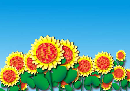golden sunflower, healthy growth, good lightの写真素材