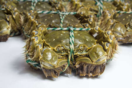 Neatly arranged from Chinese Yangcheng Lake crabsの写真素材