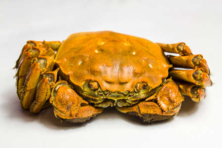 The golden color after cooking Chinese Yangcheng Lake crabの写真素材