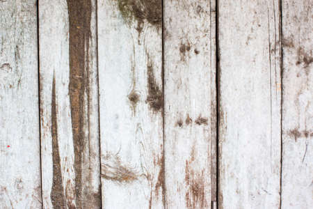 The color white mottled paint weathering cracked wooden close-upの写真素材