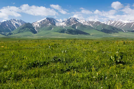 The beautiful green mountains Nalati prairie sceneryの写真素材