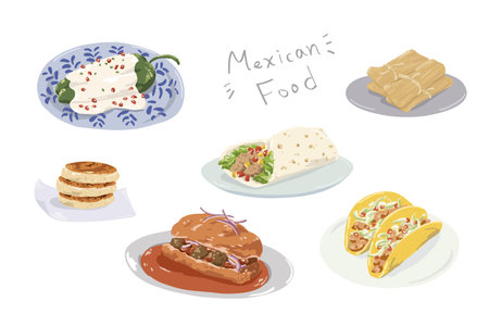 Mexican food. Vector illustration of mexican food.のイラスト素材