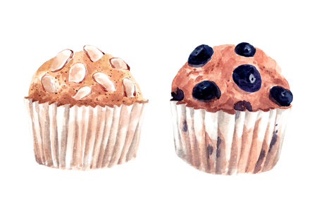 Watercolor illustration of muffins with blueberries and almonds.の写真素材