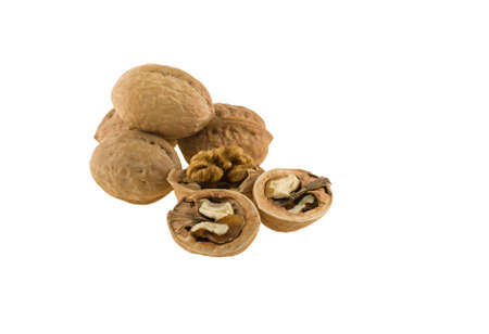 Walnut