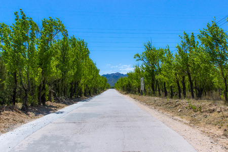 rural sceneryの写真素材
