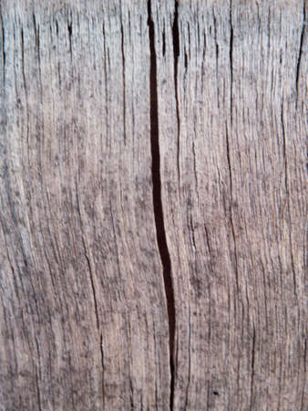 a Wood Texture in close upの写真素材