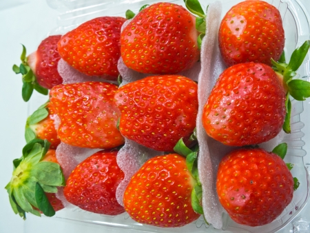 big strawberry in packaging from south koreaの写真素材