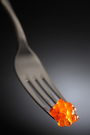 roe on forkの写真素材