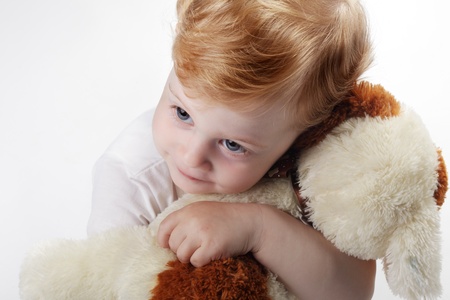 babay embrace toy dogの写真素材