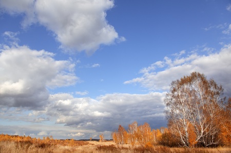 autumn  landscapeの写真素材