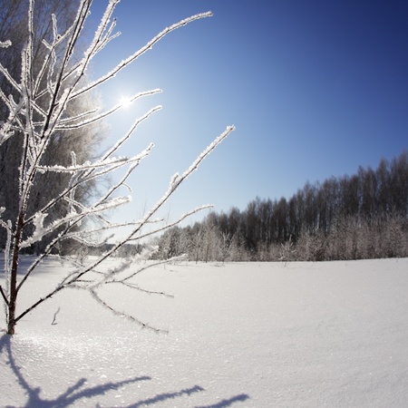 winter  landscapeの写真素材