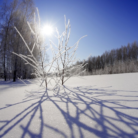winter  landscapeの写真素材