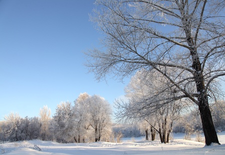 winter  landscapeの写真素材