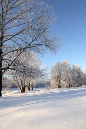 winter  landscapeの写真素材