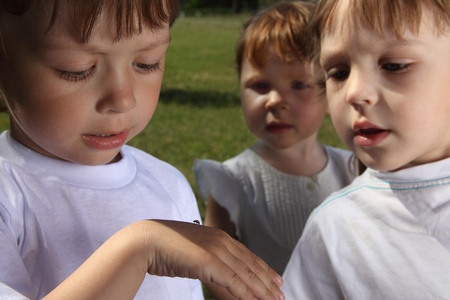 child look ladybugの写真素材