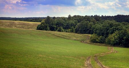 idealistic summer landscape with road and meadows