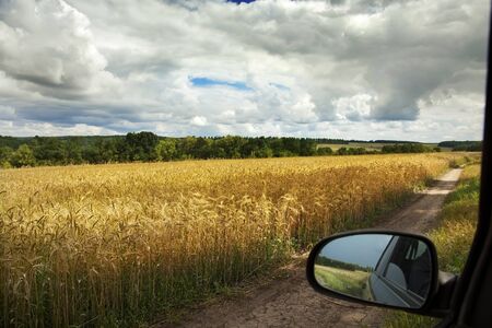 idealistic summer landscape with road and meadowsの写真素材