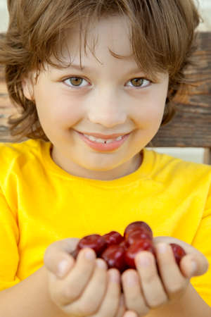 Full palm ripe cherries in the hands of the boyの写真素材