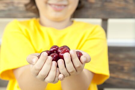 Full palm ripe cherries in the hands of the boyの写真素材